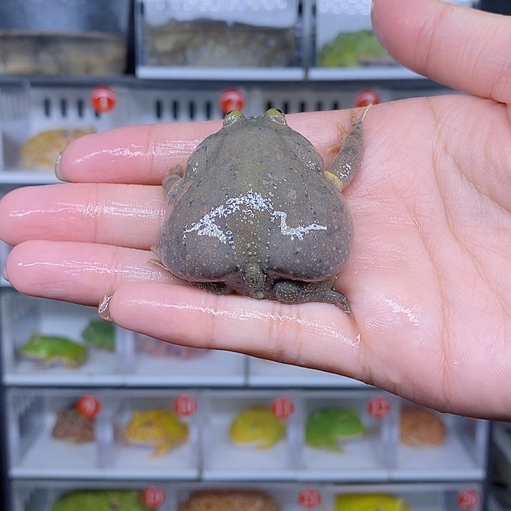 特价秒杀现货特价