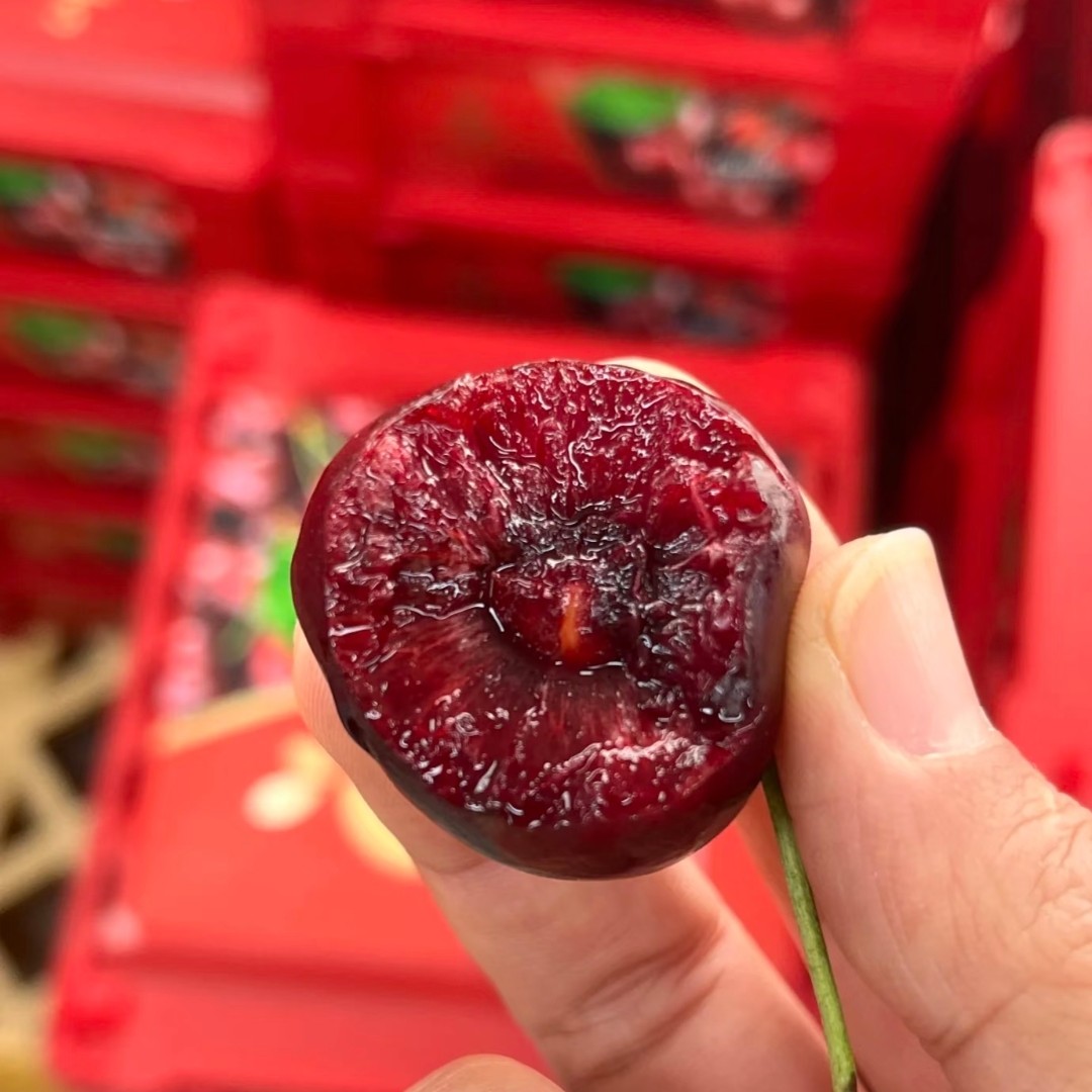 车厘子樱桃1J1斤装空运内附果径卡XL