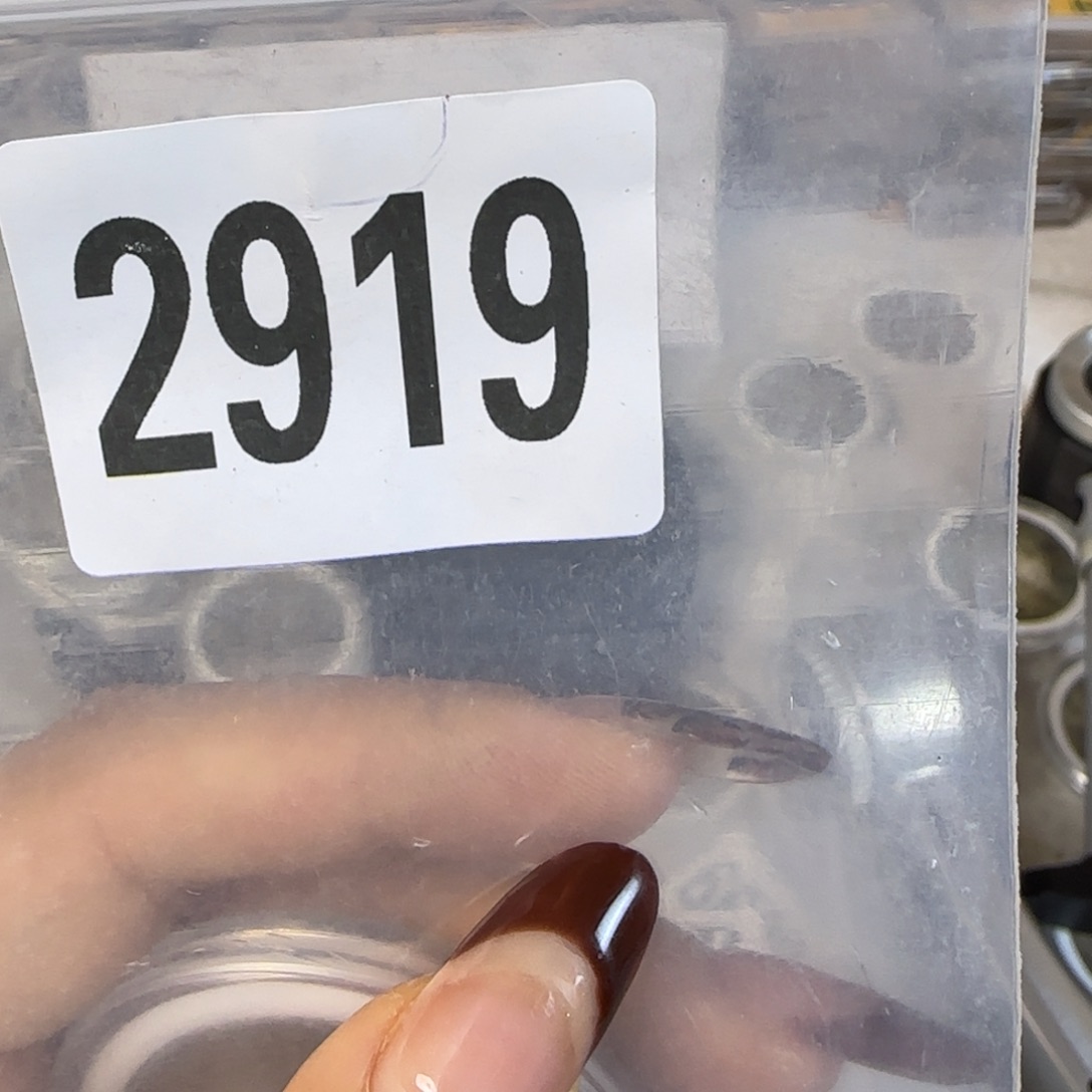 新号开播福利多多