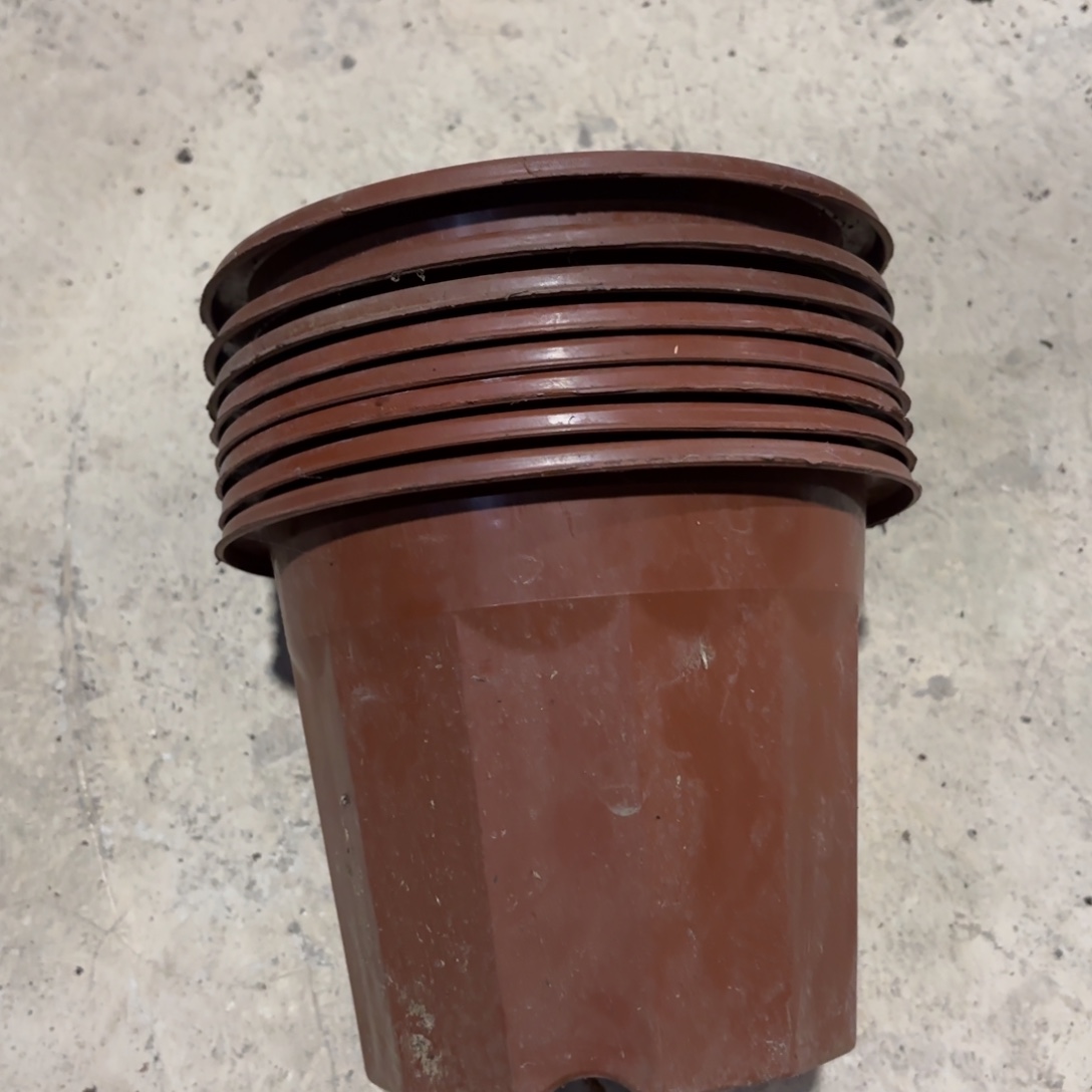 红砖盆18✖️14发25