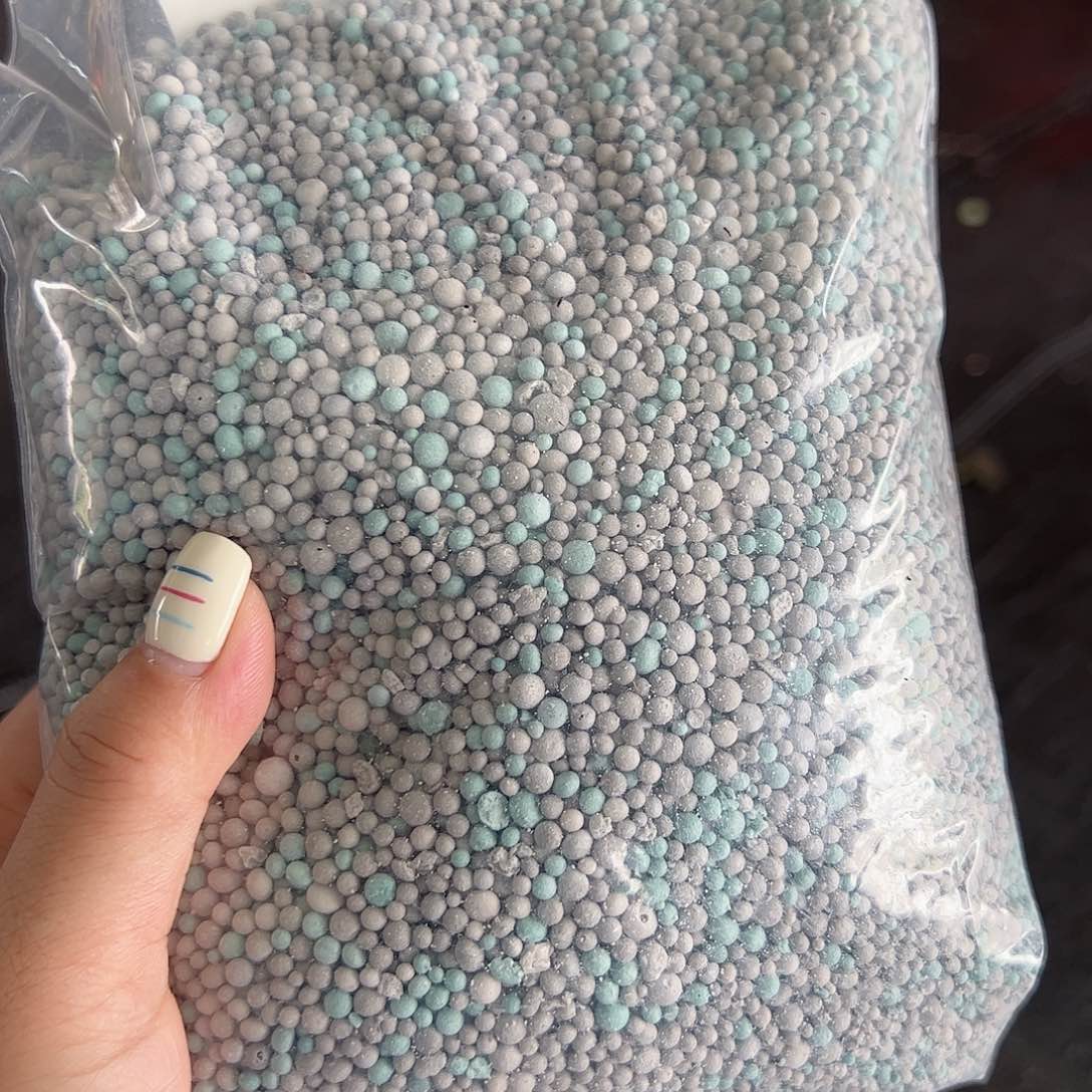 当前无花栽培后可以开花三角梅专用肥2斤
