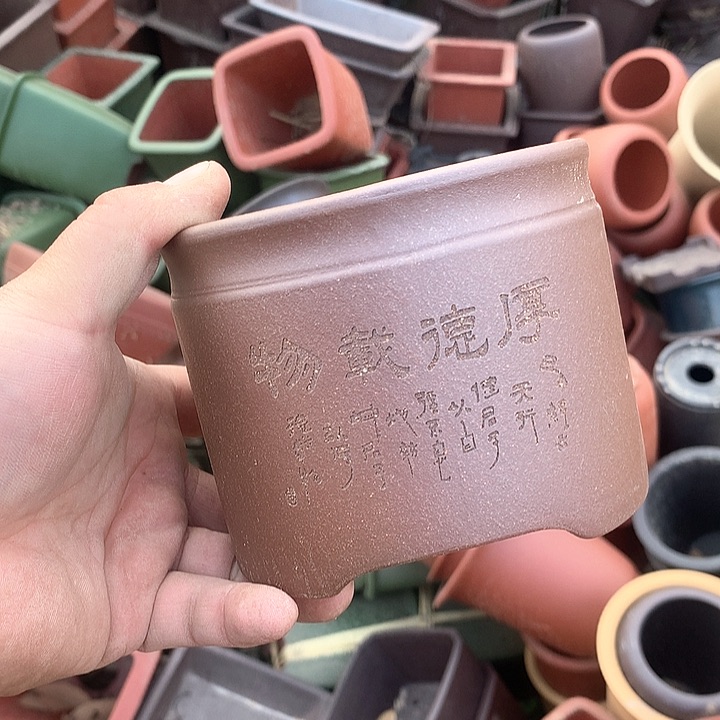 紫砂哈哈真的是太给力太火爆了