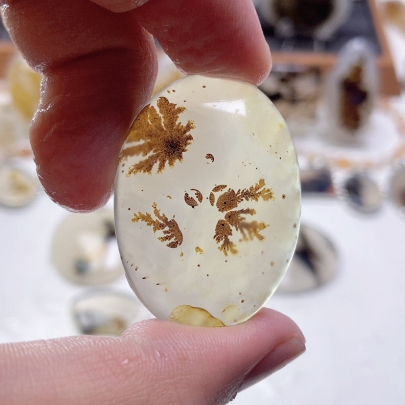 【闪购商品】玛瑙/玉髓颈饰未镶嵌