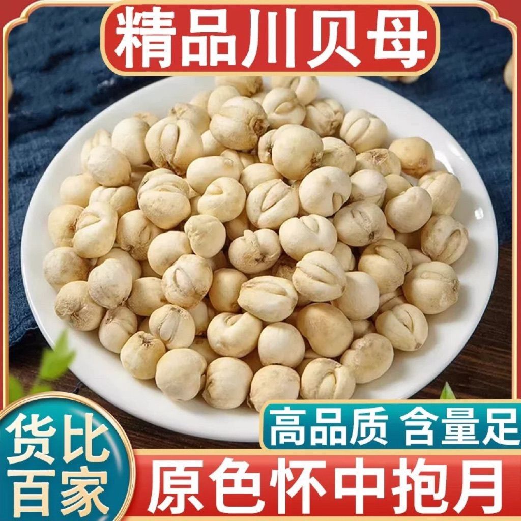 川贝正宗四川川贝母野生贝母非松贝母粉雪梨膏正品川贝母煲汤