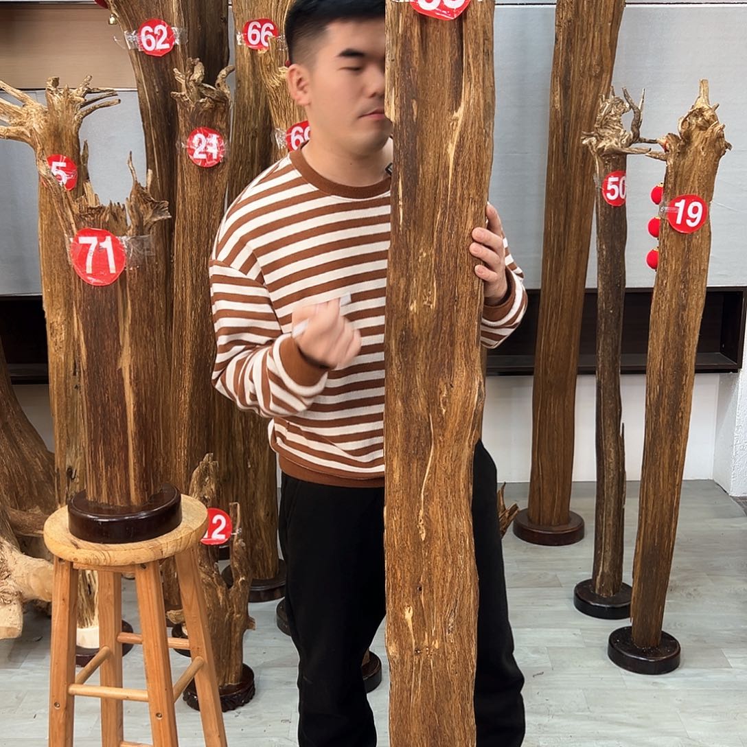 沉香摆件道****）海南沉香摆件