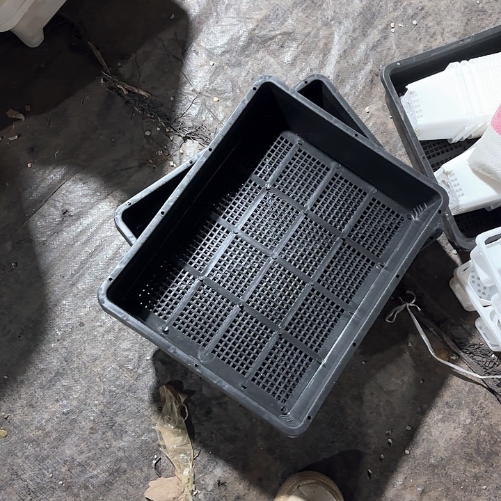 37公分育苗盘5个