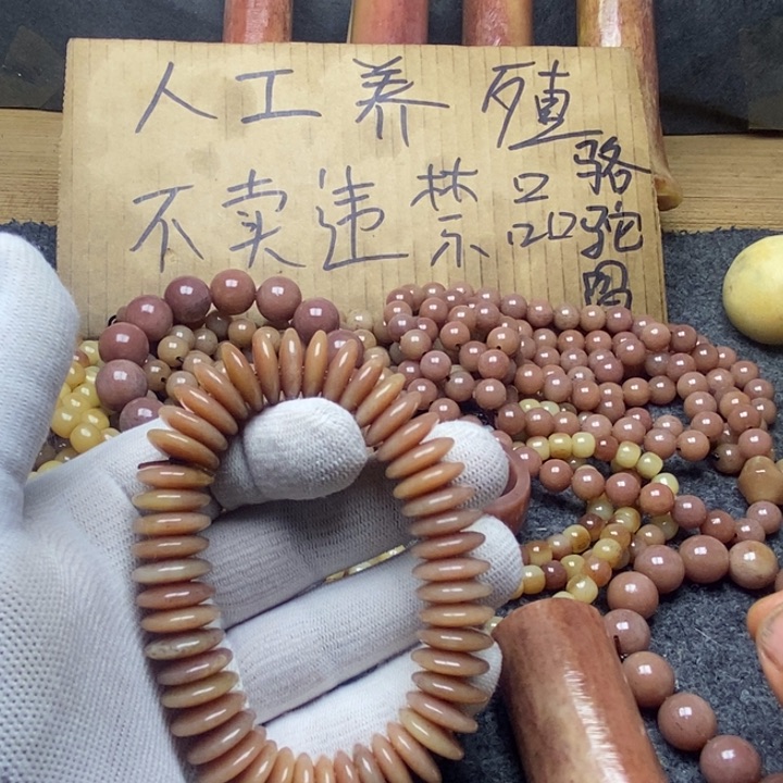 驼骨手串/手链888888