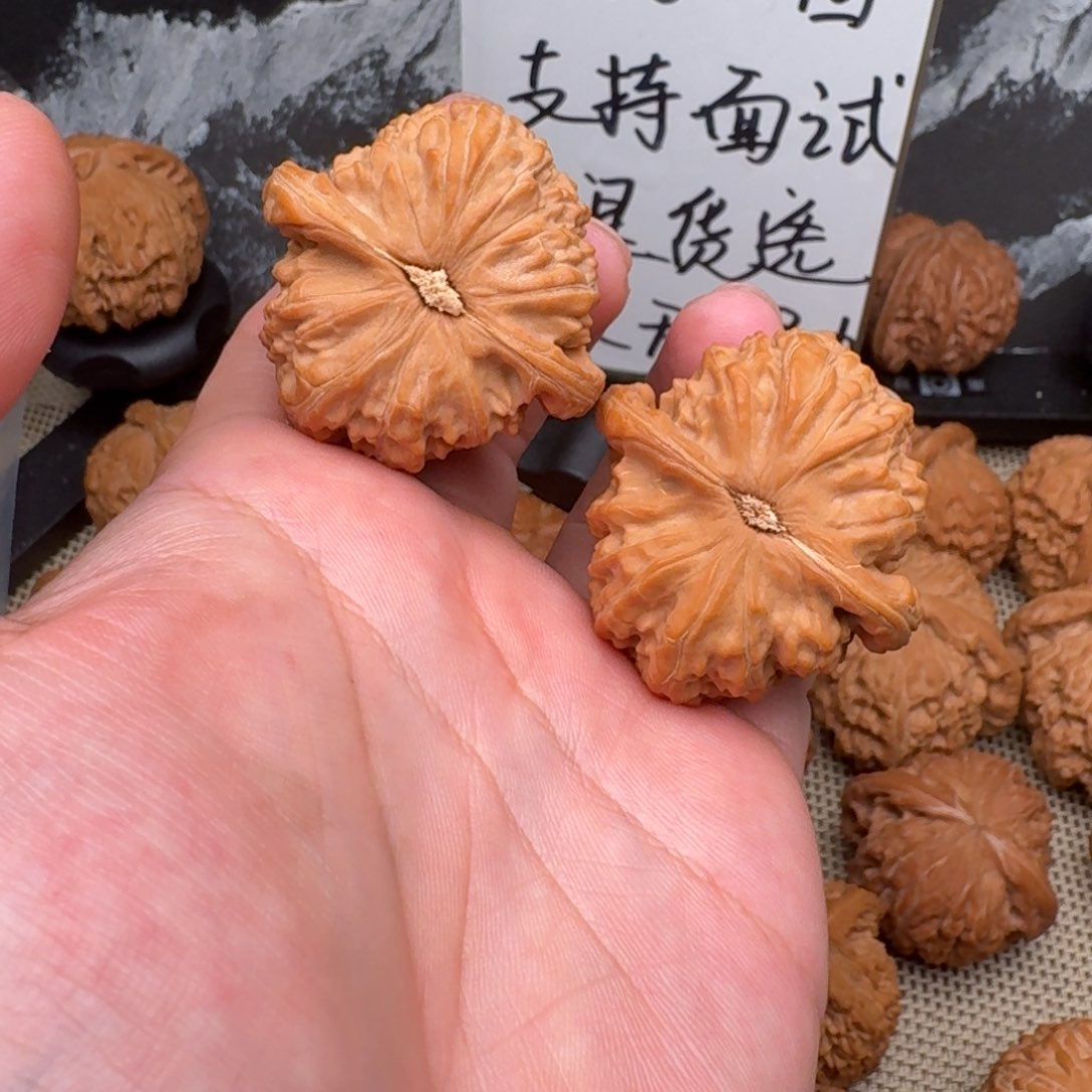 把件文玩核桃40白狮子