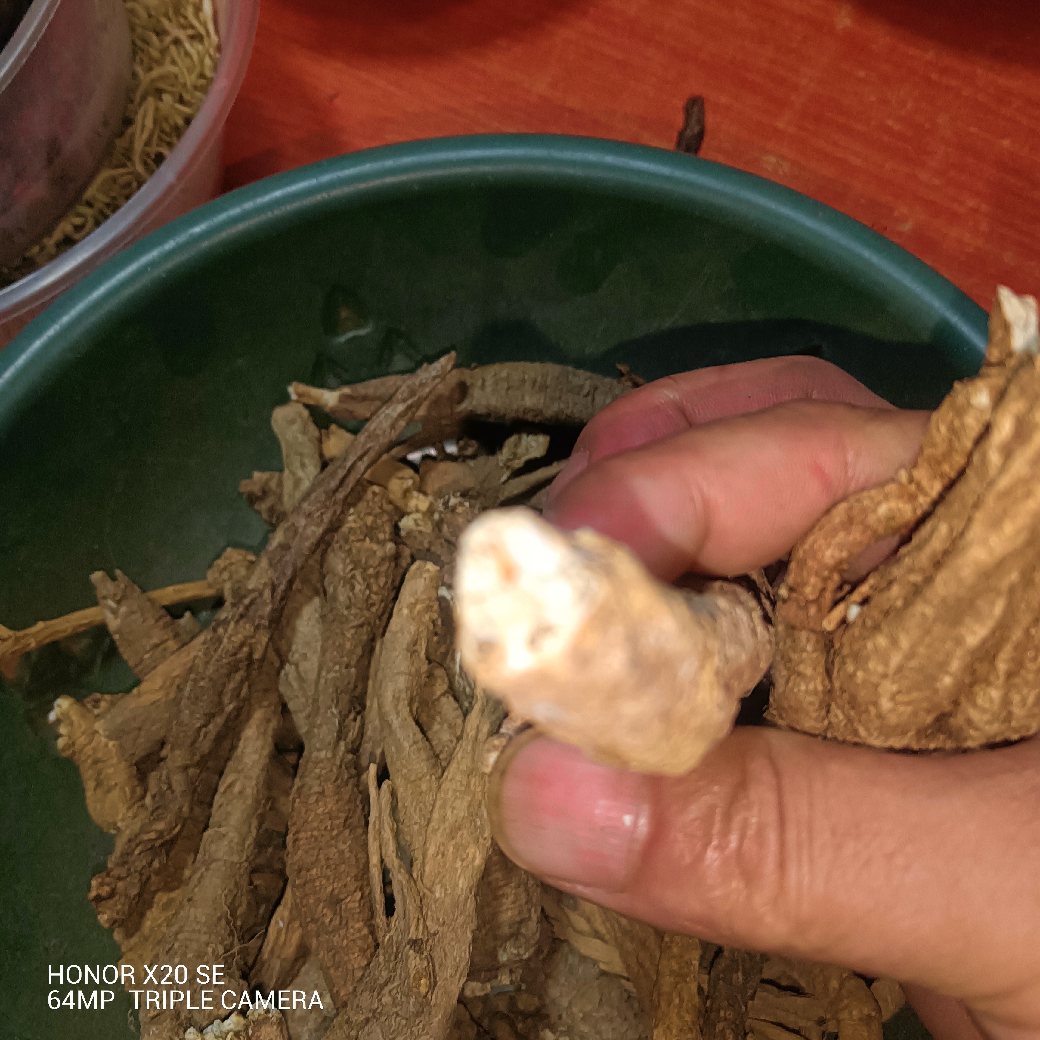 甘肃非种植南北沙参250g～500g包邮