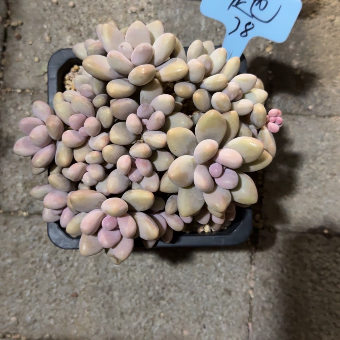 是***也11111111111111111111