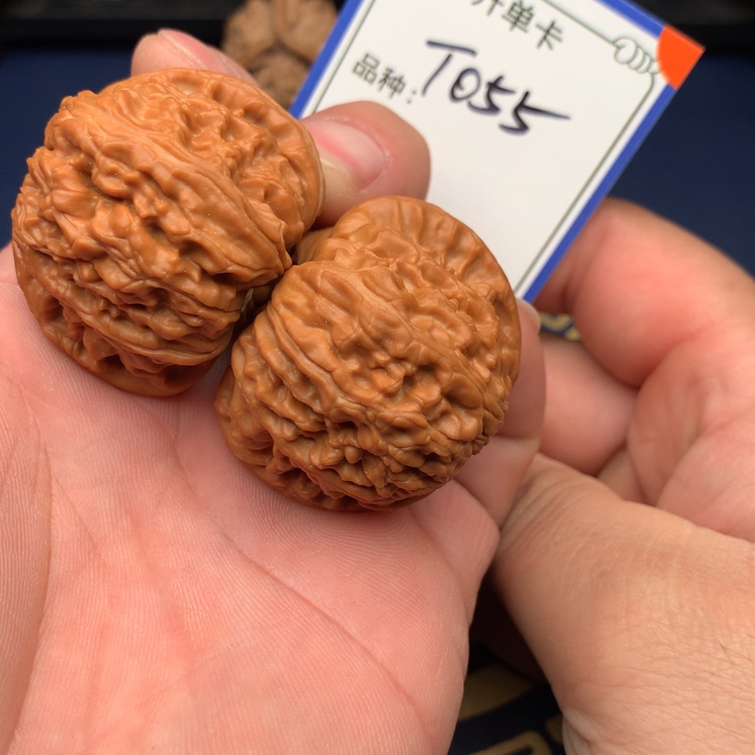 文玩核桃把件白狮子055