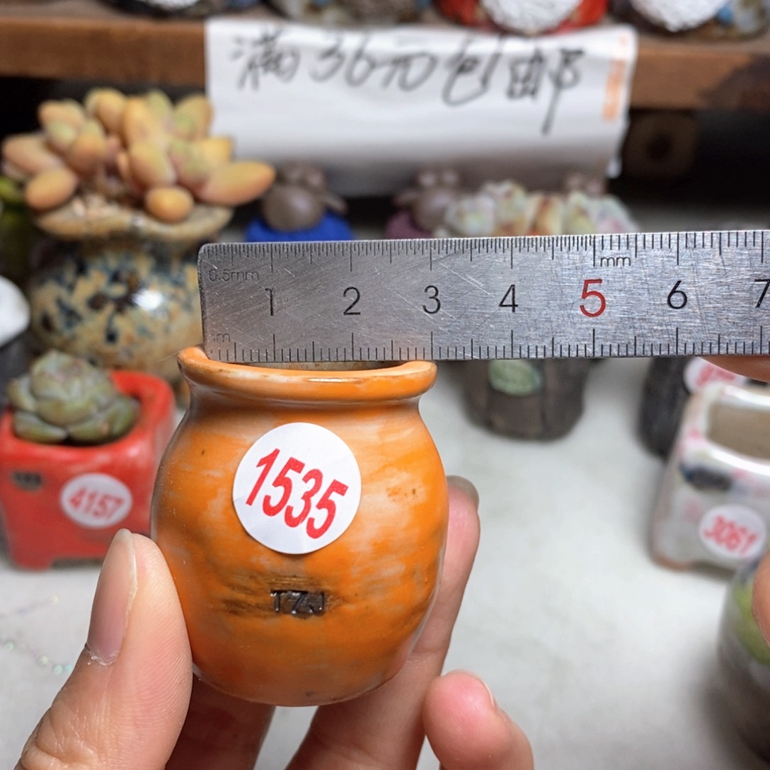 拍5送一个小礼物