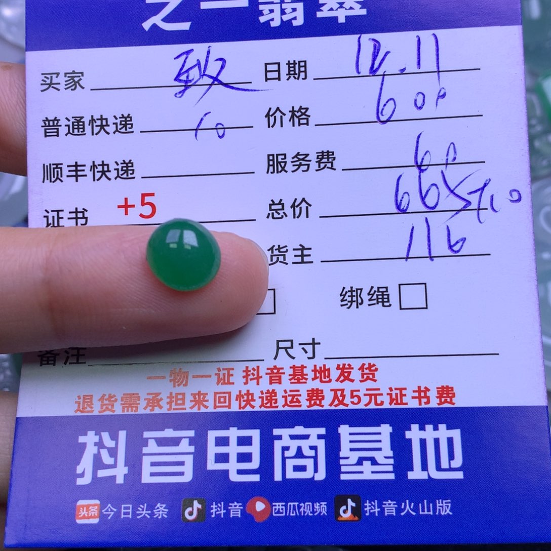 颈饰未镶嵌翡翠《***》