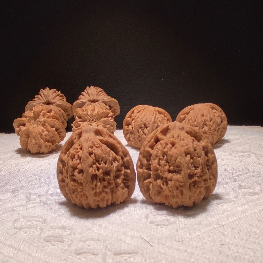 小***壳极品三角疆，41尺，