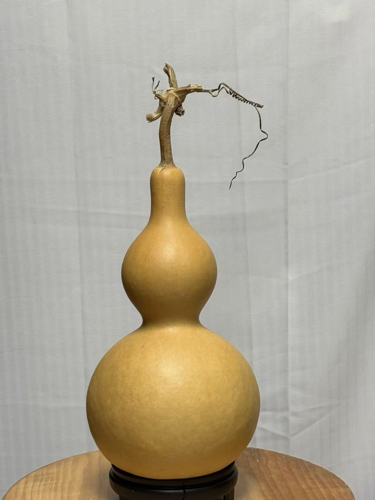 直播间一物一拍天然葫芦