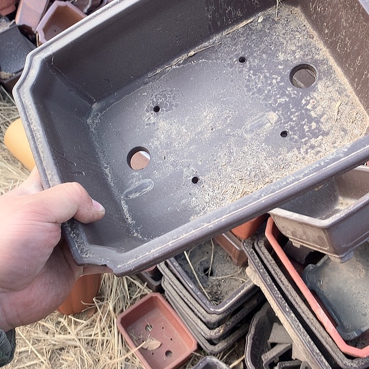 紫砂淘宝的时候就不要去关注