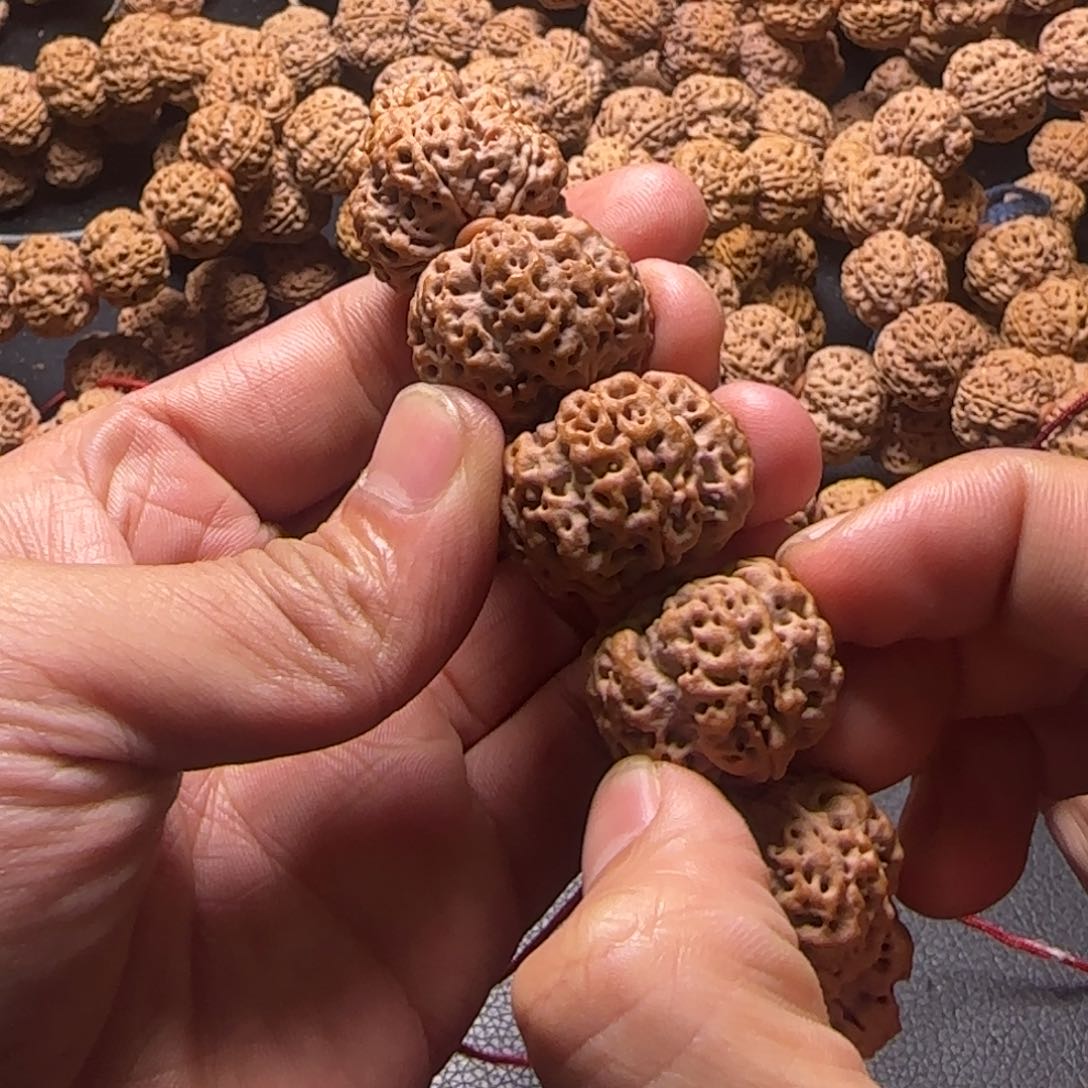 金刚菩提手串森14号金刚