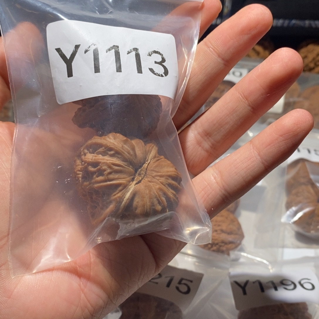 木***院吊坠文玩核桃白狮子