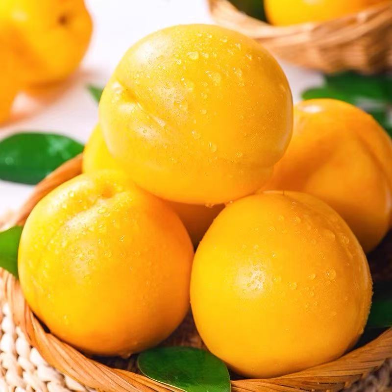 【礼盒装平谷头茬澳油桃】黄金油桃新鲜当季水果现摘桃子脆甜油硬蜜桃顺丰包邮桃子同城送北京市