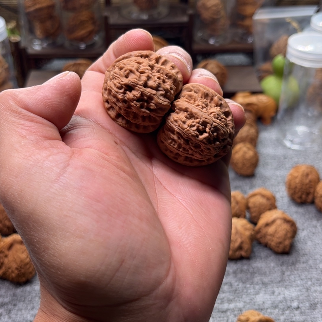 文玩核桃把件白狮子