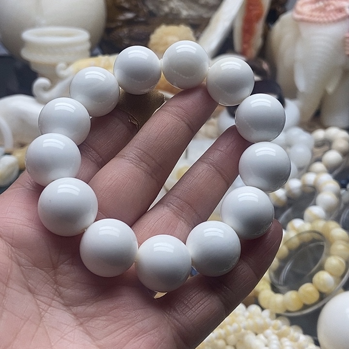 非金属贝壳全白通货1.8单圈