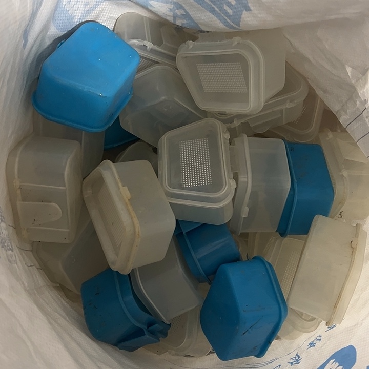 红冲蚯蚓盒随机发14个