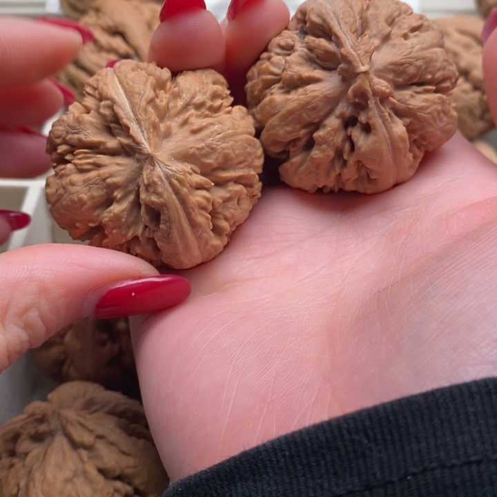 *****文玩核桃把件霸王龙