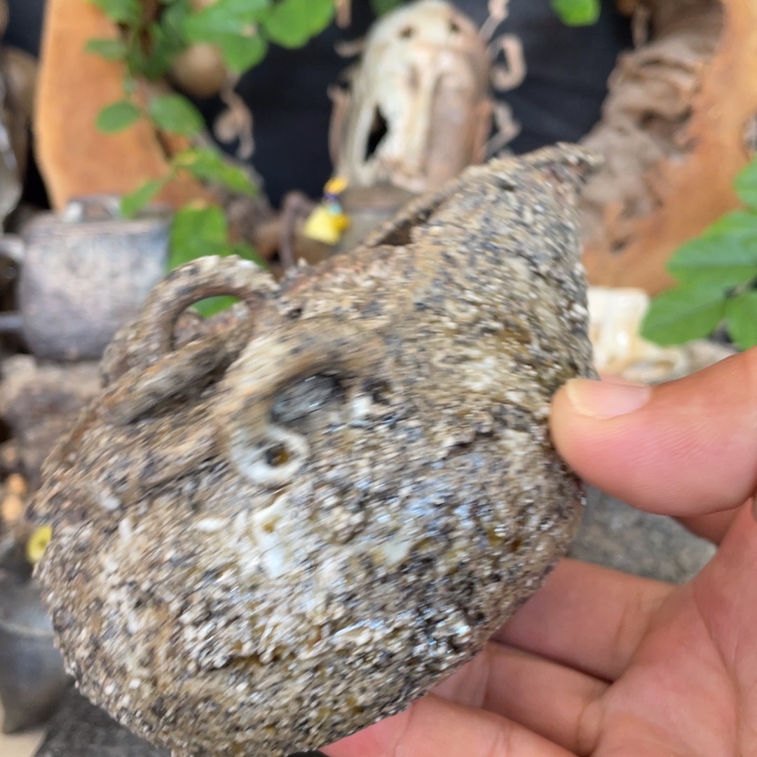 清清清清清清清清清清清