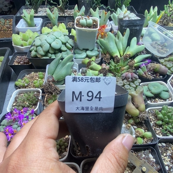 大***656689699999999999 9
