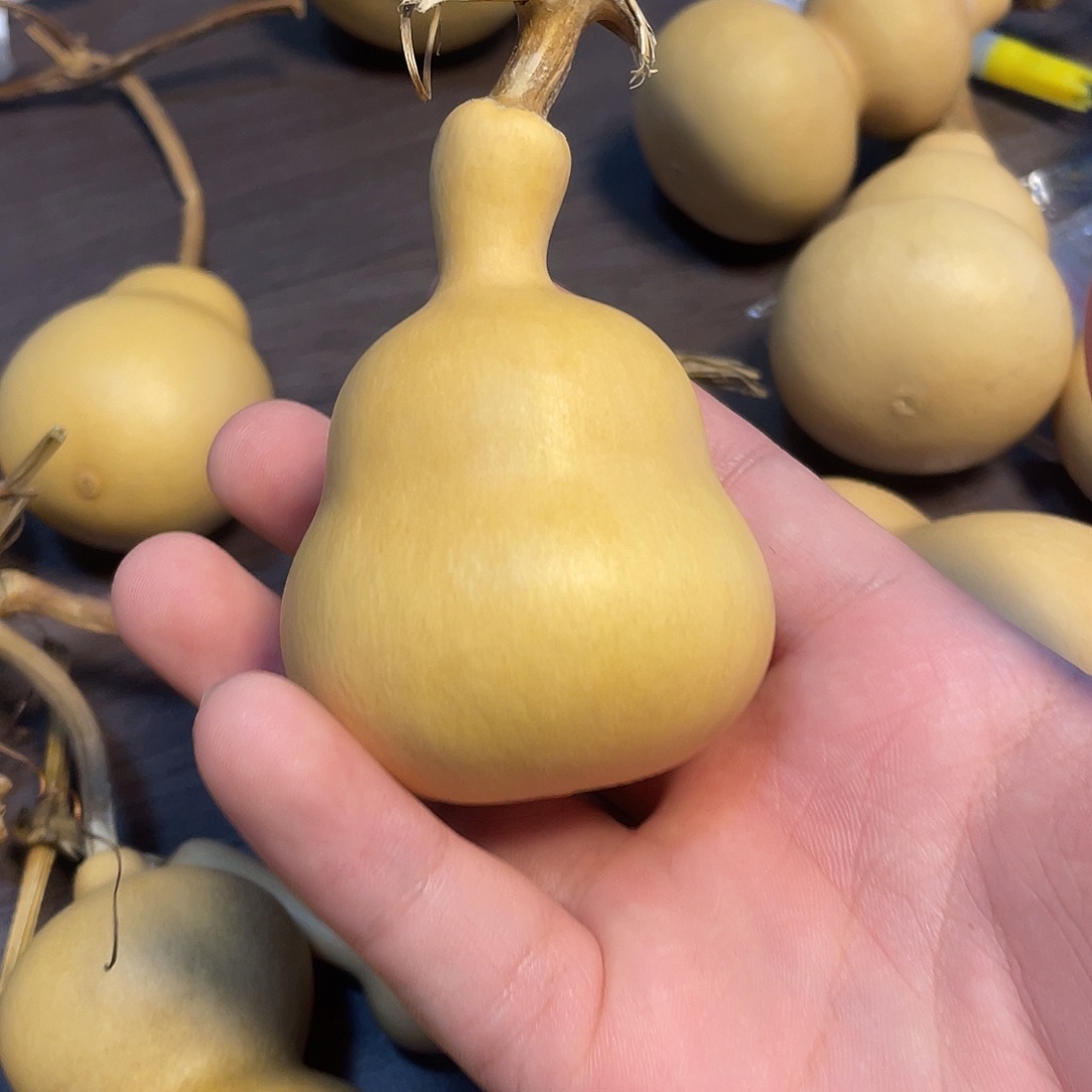 葫芦哈哈哈哈哈哈