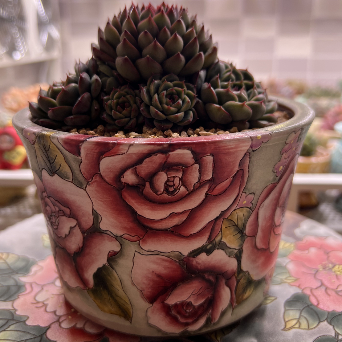 瑶宸精品手绘多肉花盆