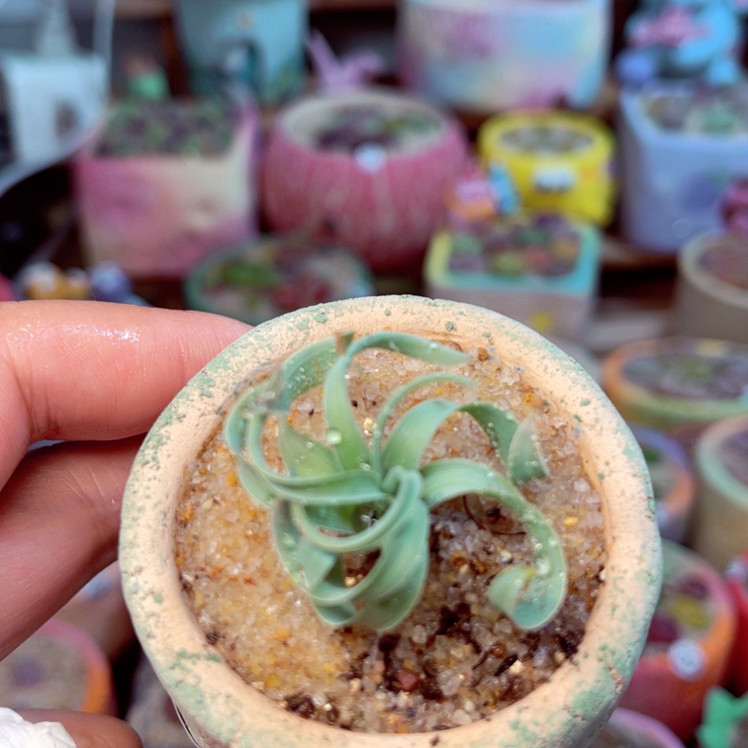 646。88888888858888588