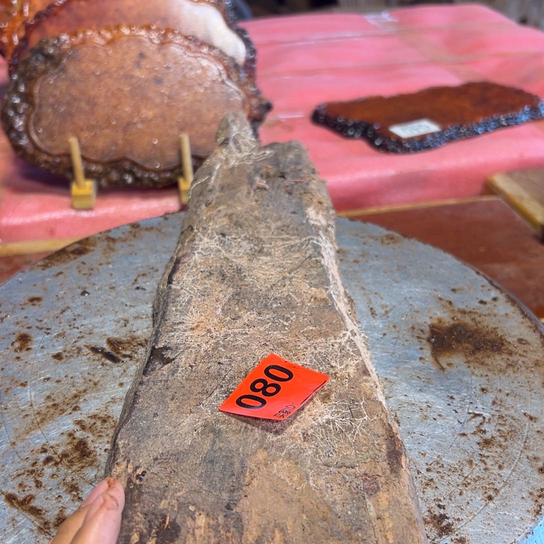 大果紫檀（缅甸花梨）