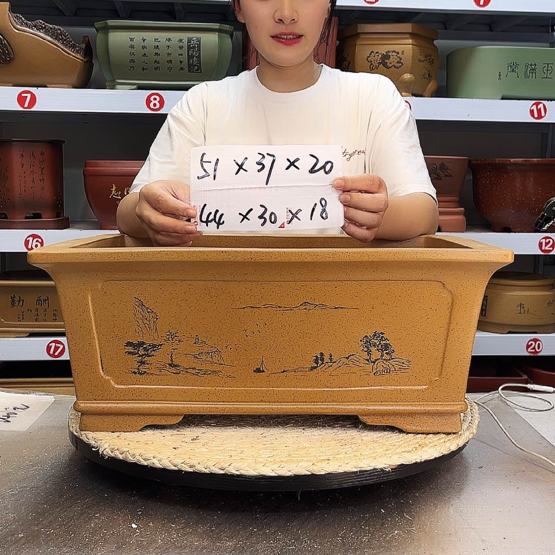 紫砂花盆紫砂花盆