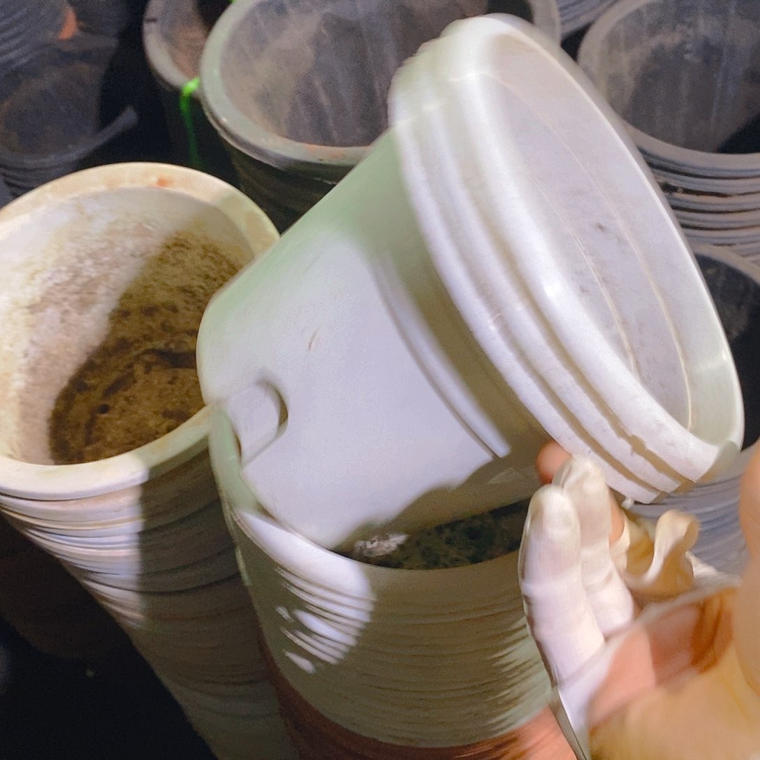 塑料旧16公分白圆盆30个