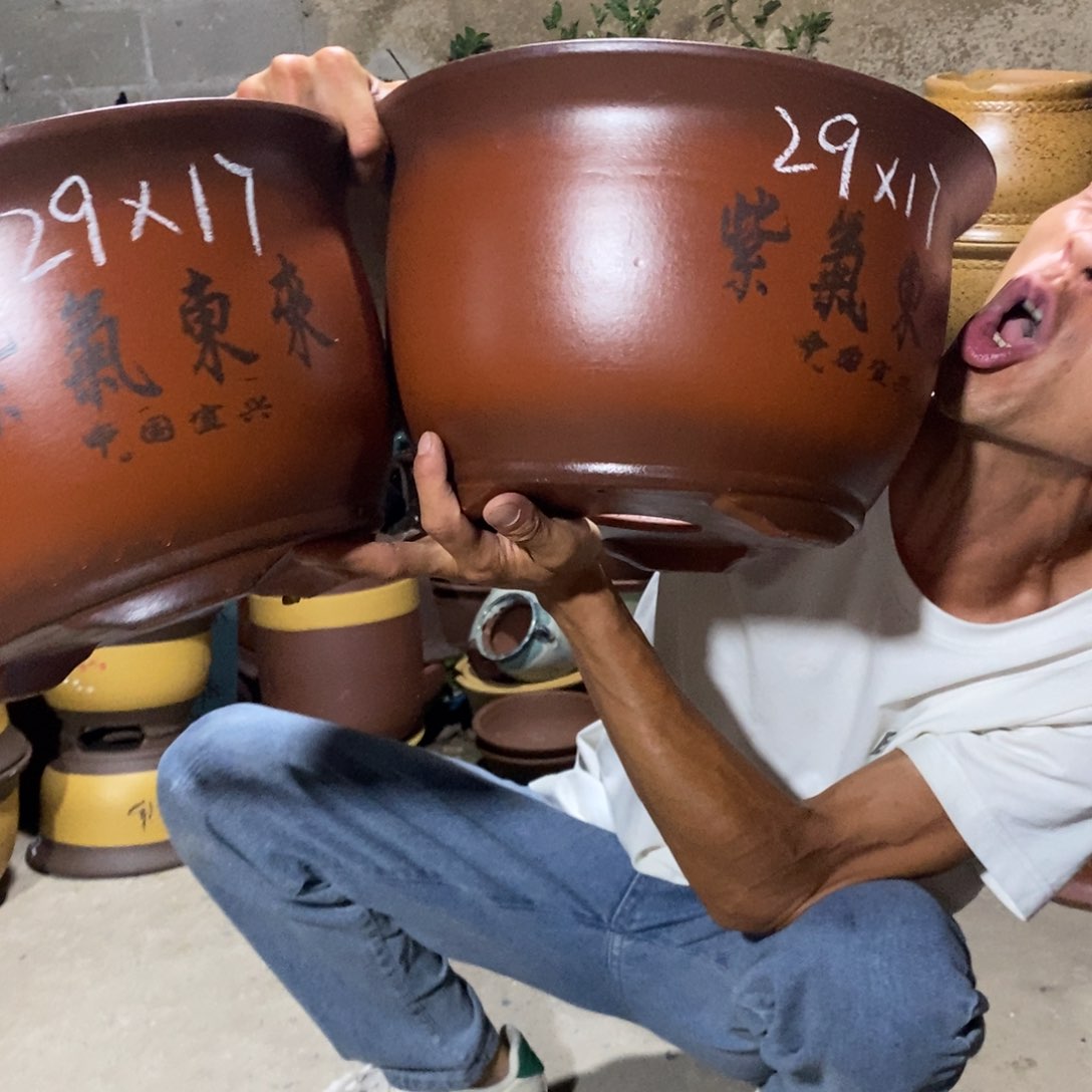 紫砂花盆紫砂紫砂紫砂紫砂紫砂