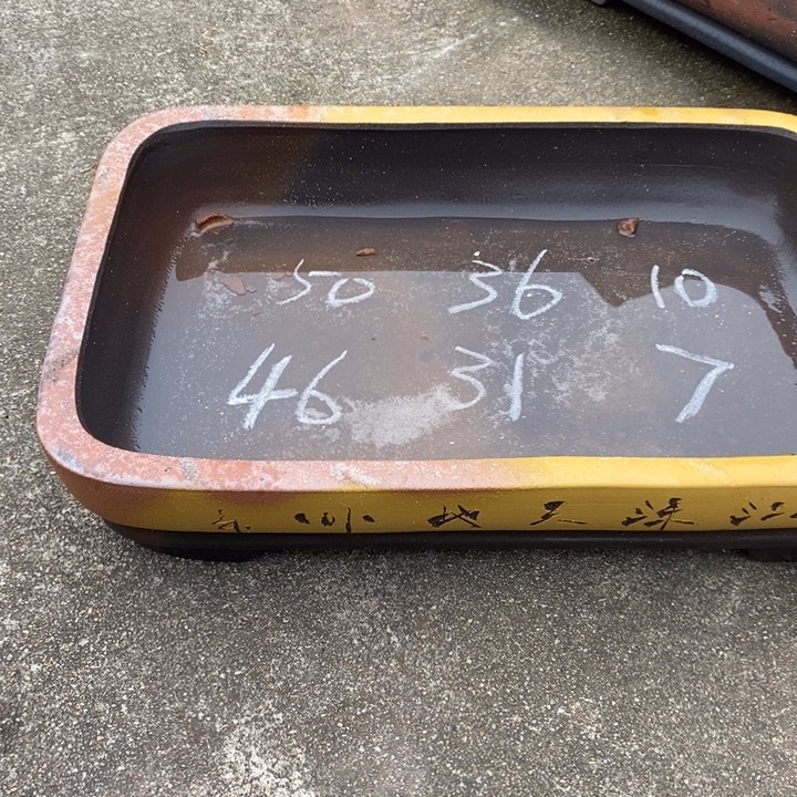 紫砂花盆自己的事情了吧唧