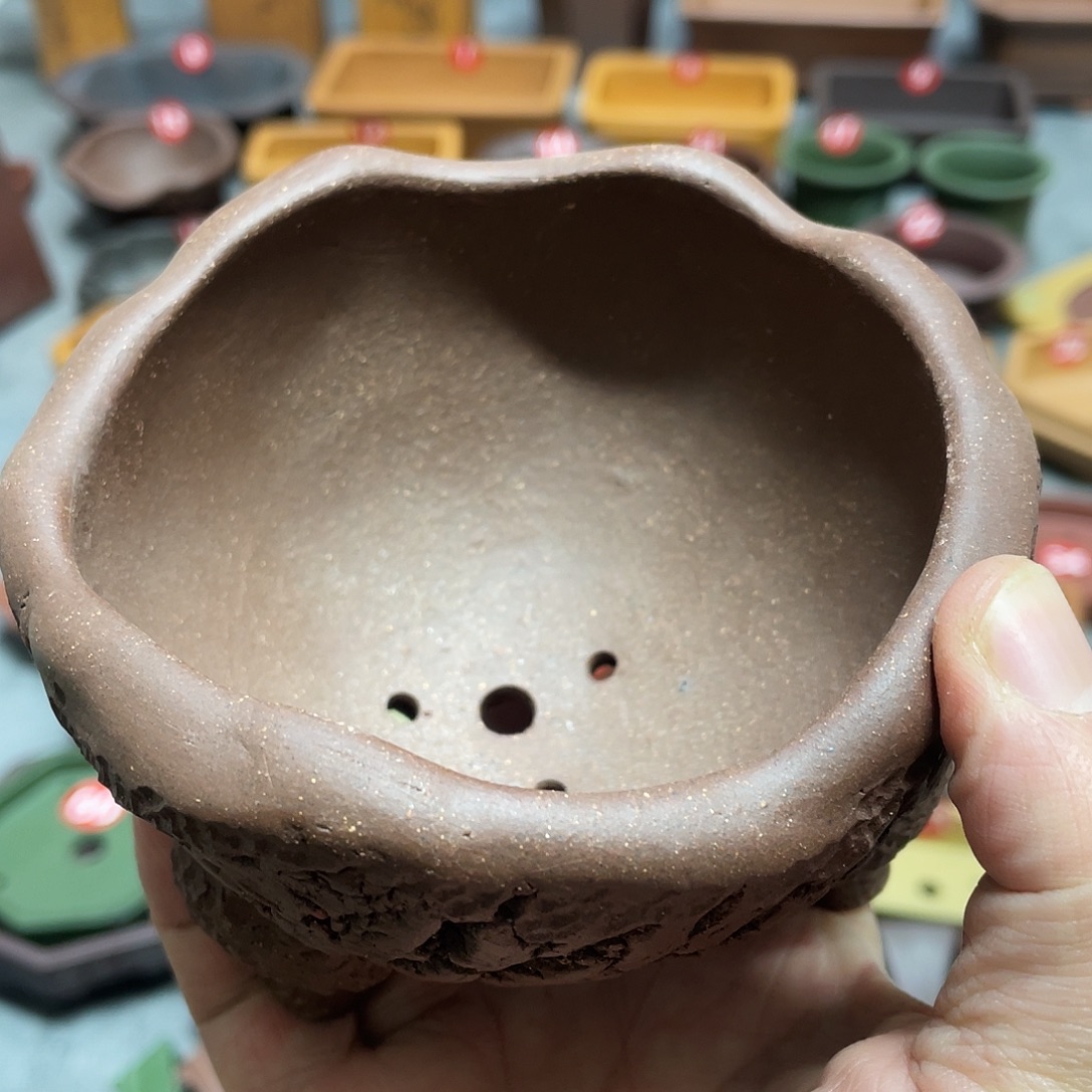 紫砂小盆9*5cmmmm