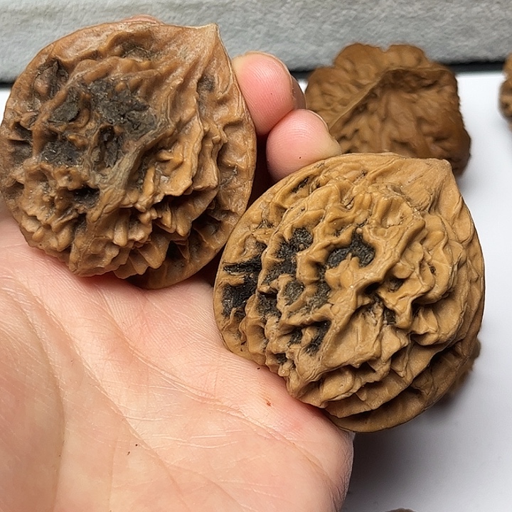 秦岭文玩核桃核桃