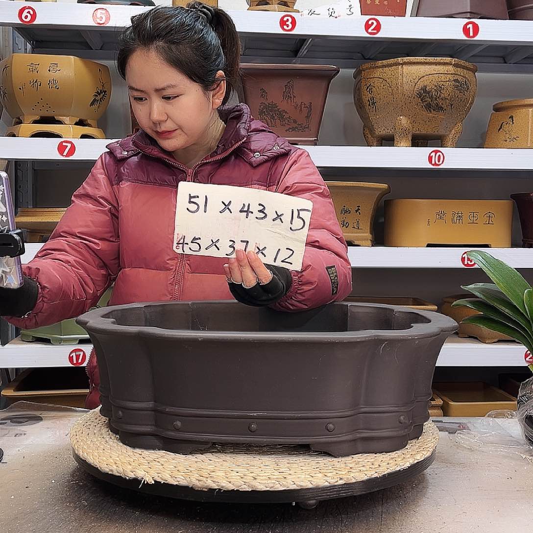 紫砂花盆紫砂花盆