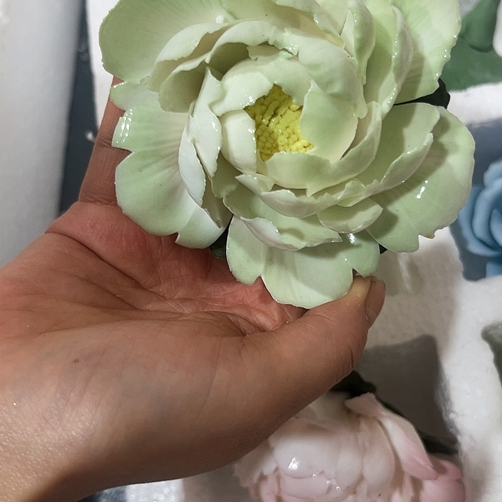 微瑕，介意勿拍，不退不换