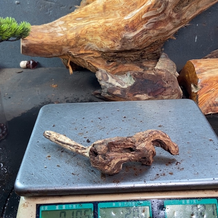 黄花梨/降香黄檀高*东