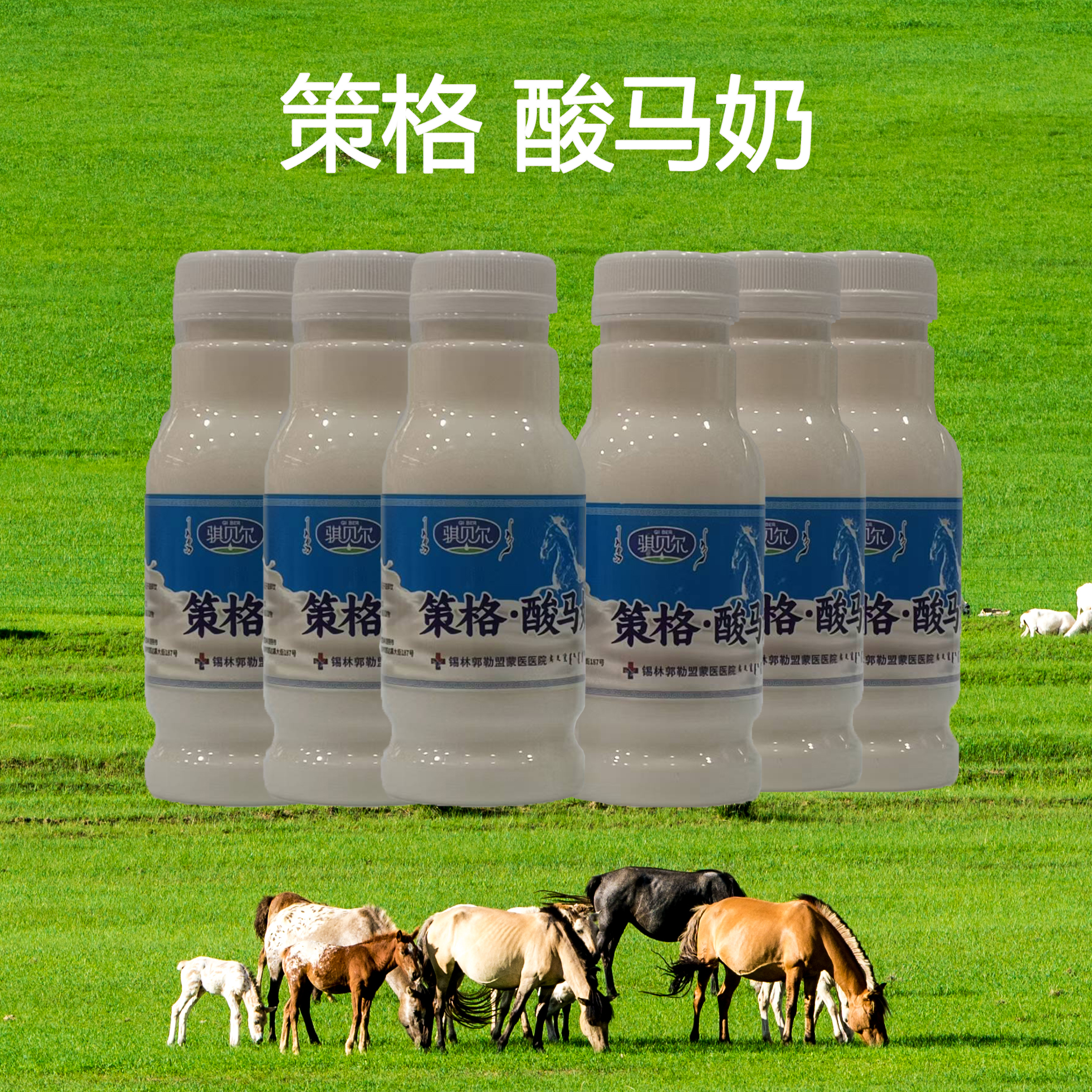 骐贝尔策格酸马奶 蒙古马自然泌乳鲜马奶发酵   260g*5瓶  包邮