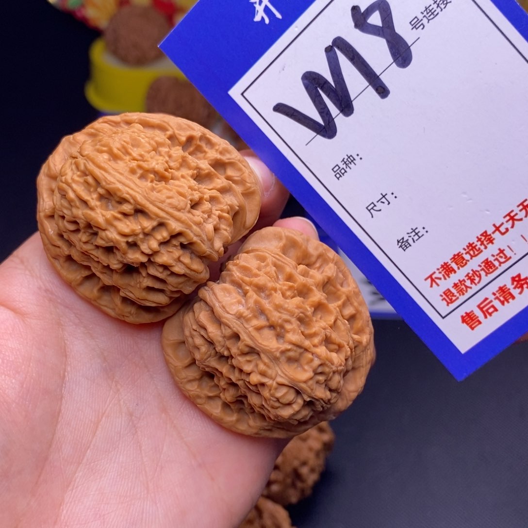 W18链接 全品南疆40尺 000