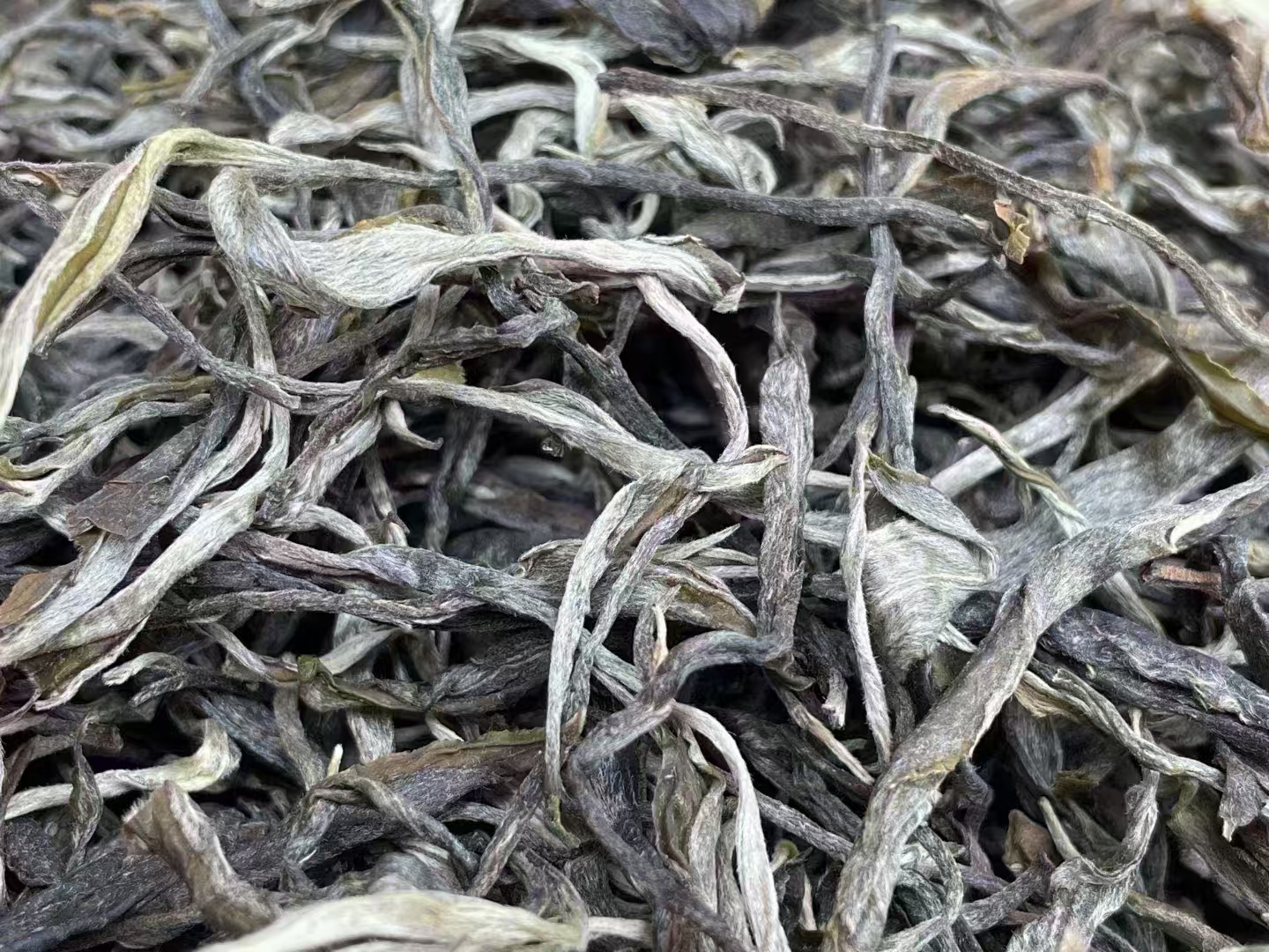勐海老曼峨普洱茶生茶散评鉴装