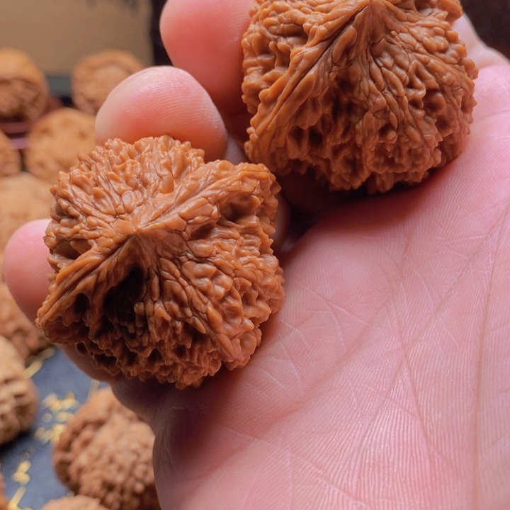 舵*文玩满天星狮子头全品尺寸46