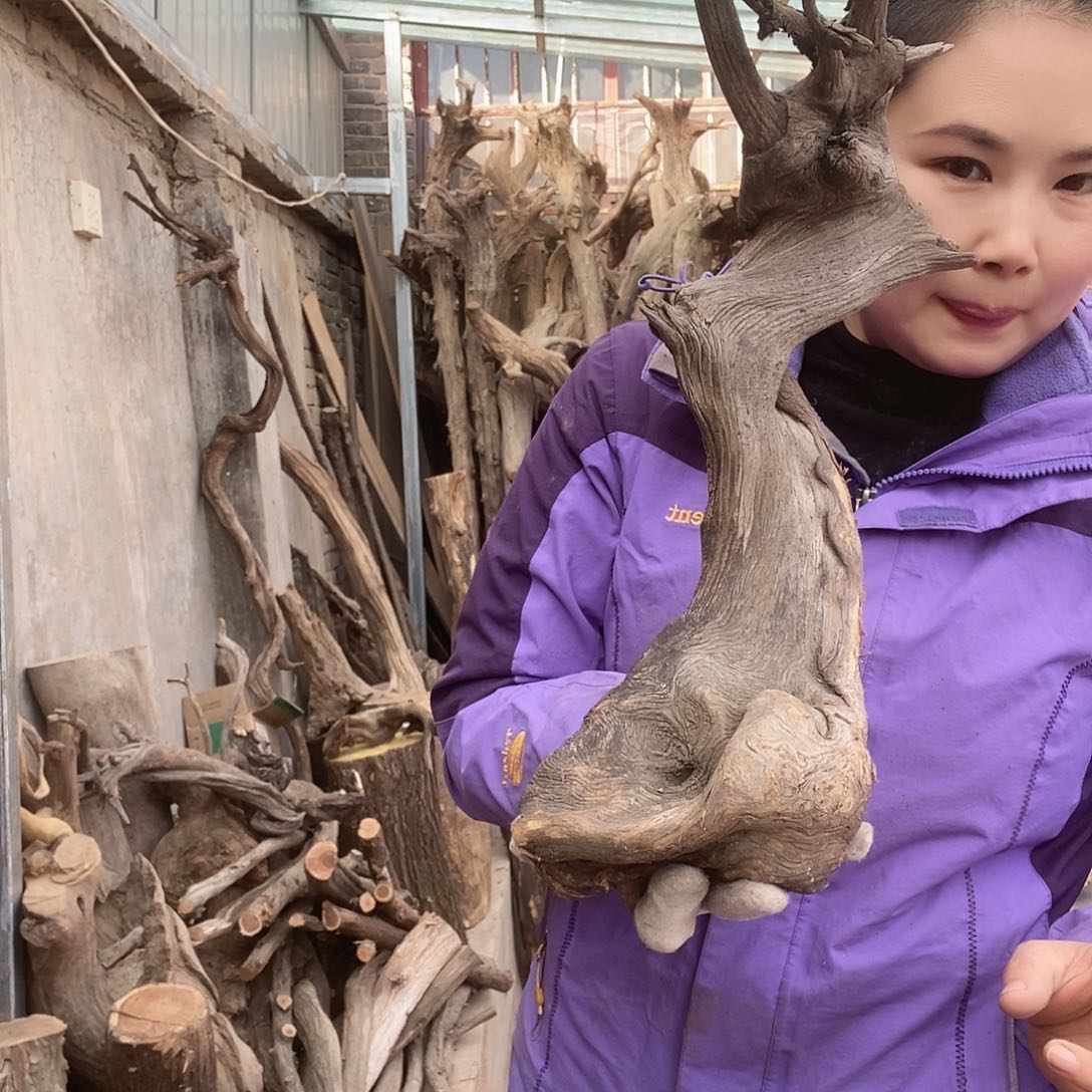 金*太行的太行太行