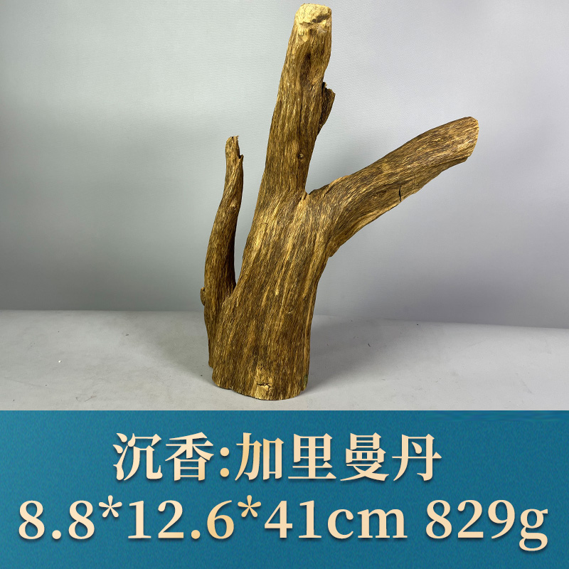 59560 加里曼丹 沉香