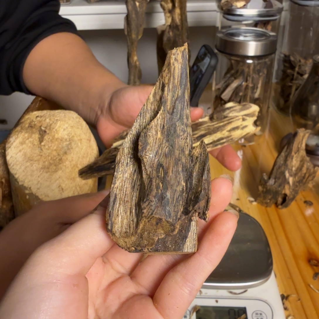 沉香白奇虫漏香21克