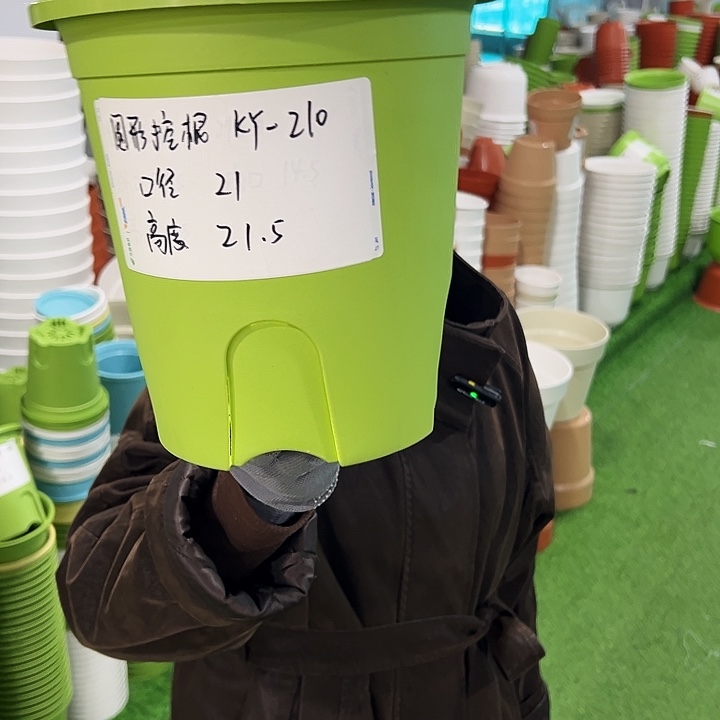 正品圆控口21高21果绿无托5只